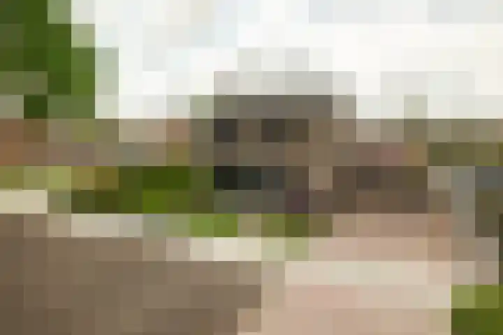 Parklaan 63 Nieuw-Buinen thumbnail 10