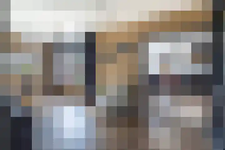 Parklaan 63 Nieuw-Buinen thumbnail 14