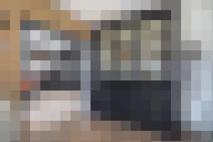 Parklaan 63 Nieuw-Buinen thumbnail 18