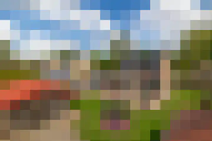 Parklaan 63 Nieuw-Buinen thumbnail 32