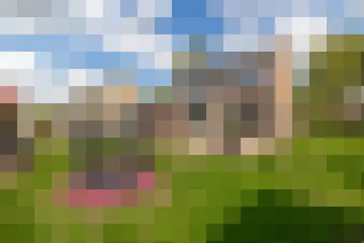 Parklaan 63 Nieuw-Buinen thumbnail 33
