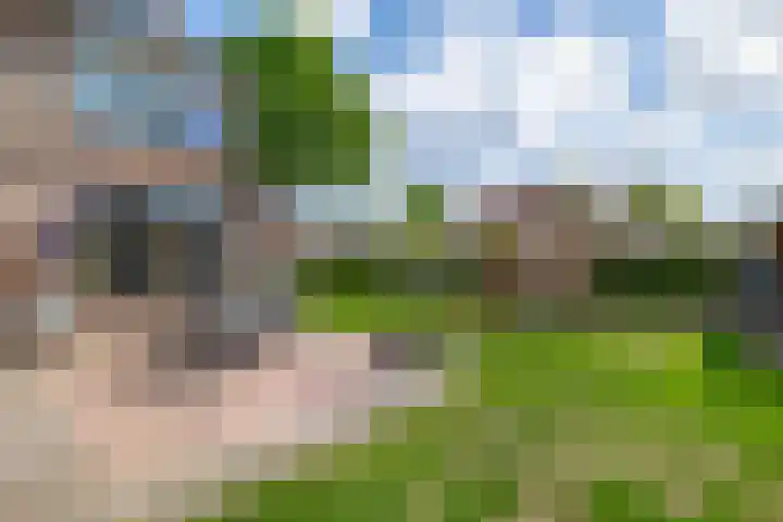 Parklaan 63 Nieuw-Buinen thumbnail 34