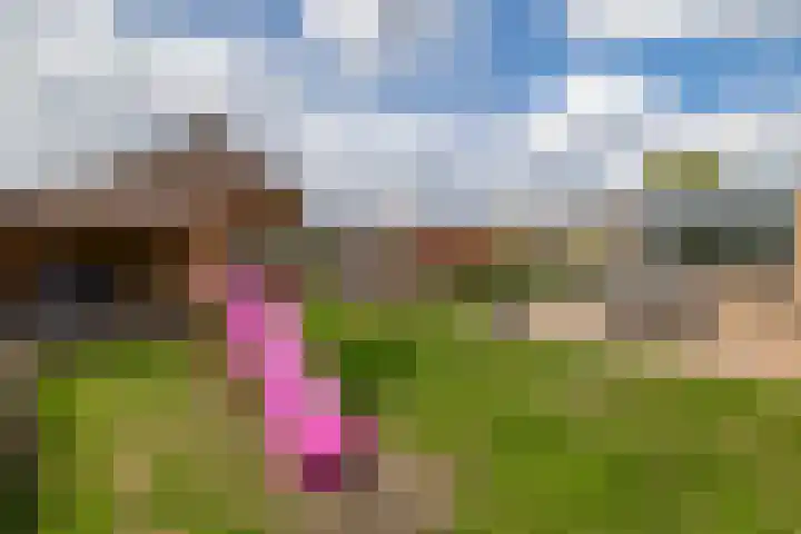 Parklaan 63 Nieuw-Buinen thumbnail 35
