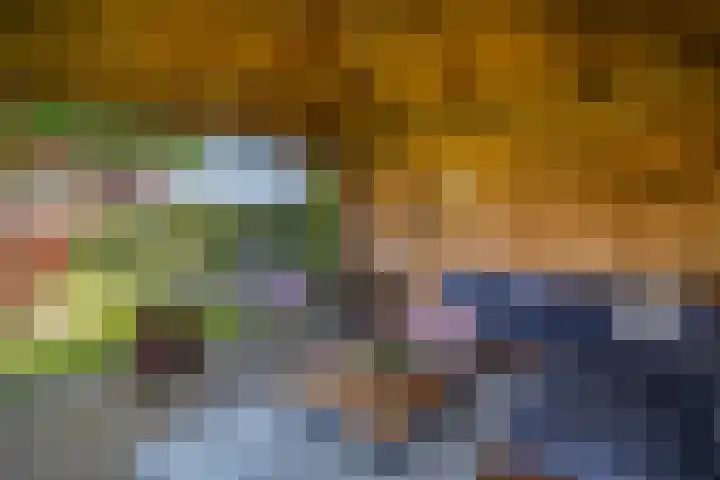 Parklaan 63 Nieuw-Buinen thumbnail 36