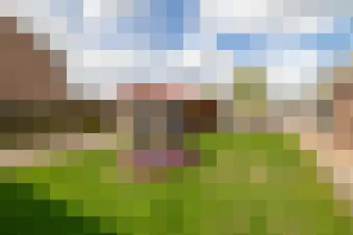 Parklaan 63 Nieuw-Buinen thumbnail 38
