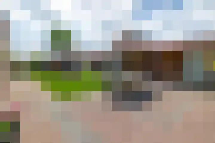 Parklaan 63 Nieuw-Buinen thumbnail 39