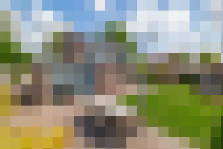 Parklaan 63 Nieuw-Buinen thumbnail 4