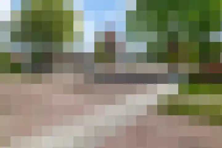 Parklaan 63 Nieuw-Buinen thumbnail 41