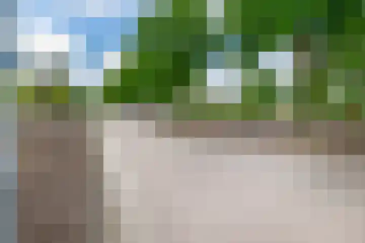 Parklaan 63 Nieuw-Buinen thumbnail 42