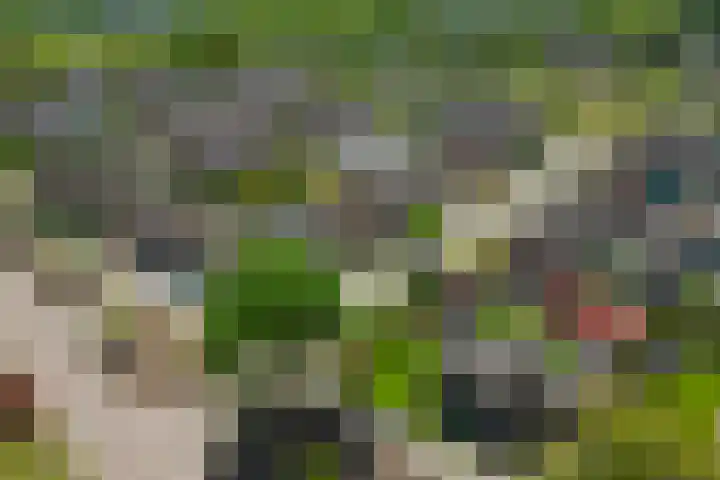 Parklaan 63 Nieuw-Buinen thumbnail 43