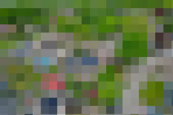 Parklaan 63 Nieuw-Buinen thumbnail 44