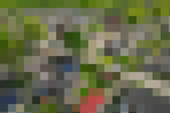 Parklaan 63 Nieuw-Buinen thumbnail 45