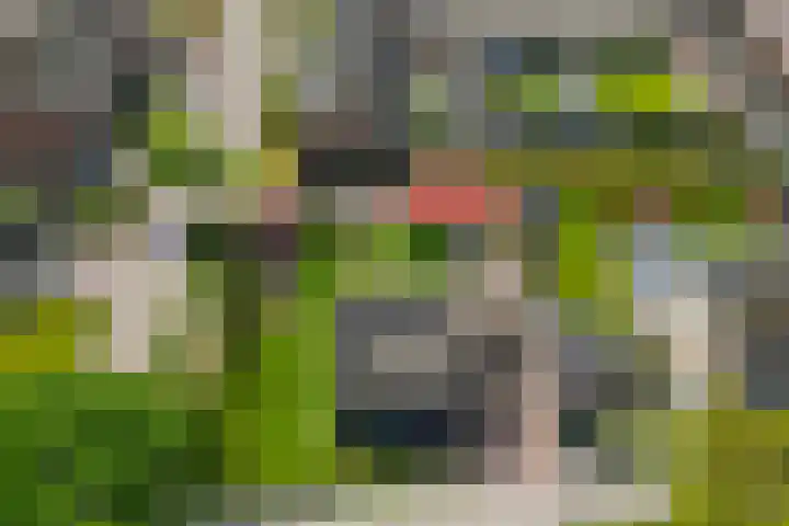 Parklaan 63 Nieuw-Buinen thumbnail 46