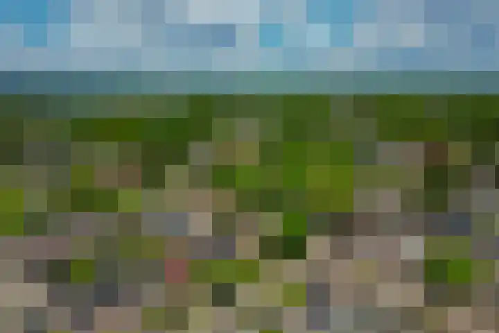 Parklaan 63 Nieuw-Buinen thumbnail 47
