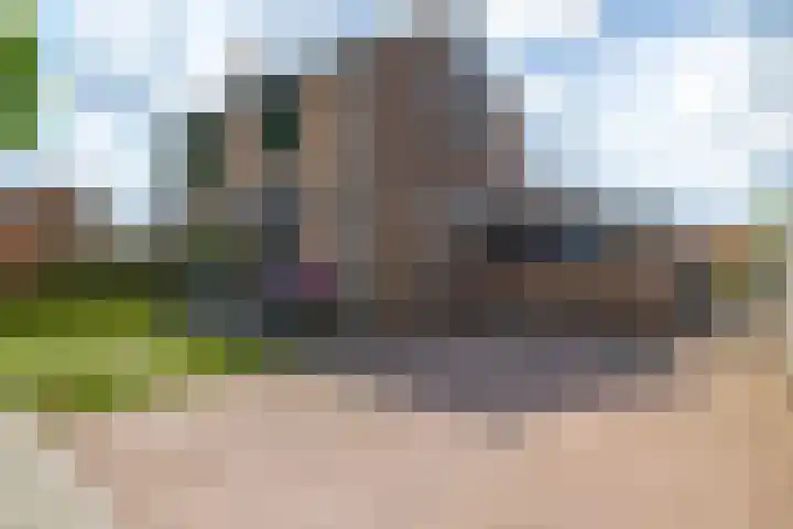 Parklaan 63 Nieuw-Buinen thumbnail 7