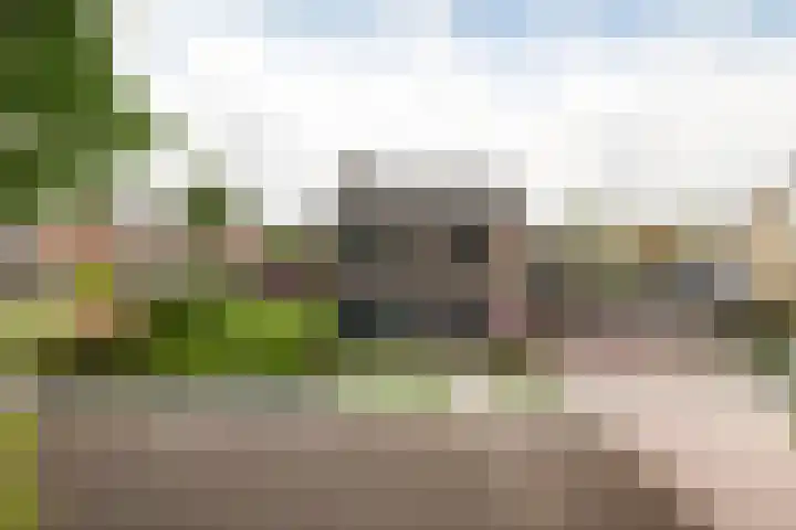 Parklaan 63 Nieuw-Buinen thumbnail 8