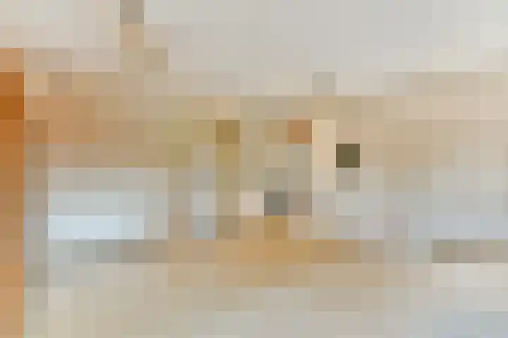 Parklaan 63 Spijkenisse thumbnail 21
