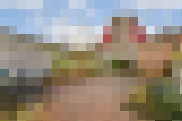 Parklaan 63 Spijkenisse thumbnail 22