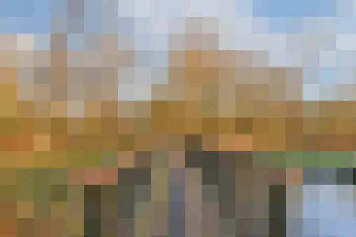 Parklaan 63 Spijkenisse thumbnail 25