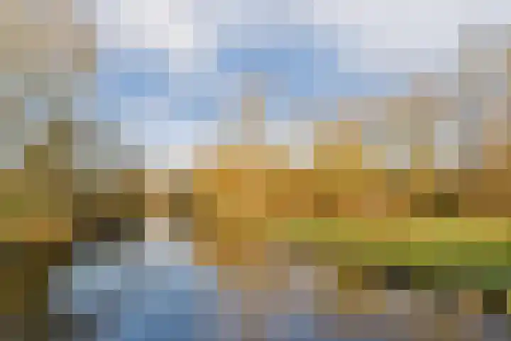 Parklaan 63 Spijkenisse thumbnail 26