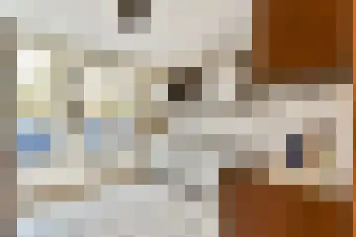 Parklaan 63 Spijkenisse thumbnail 9