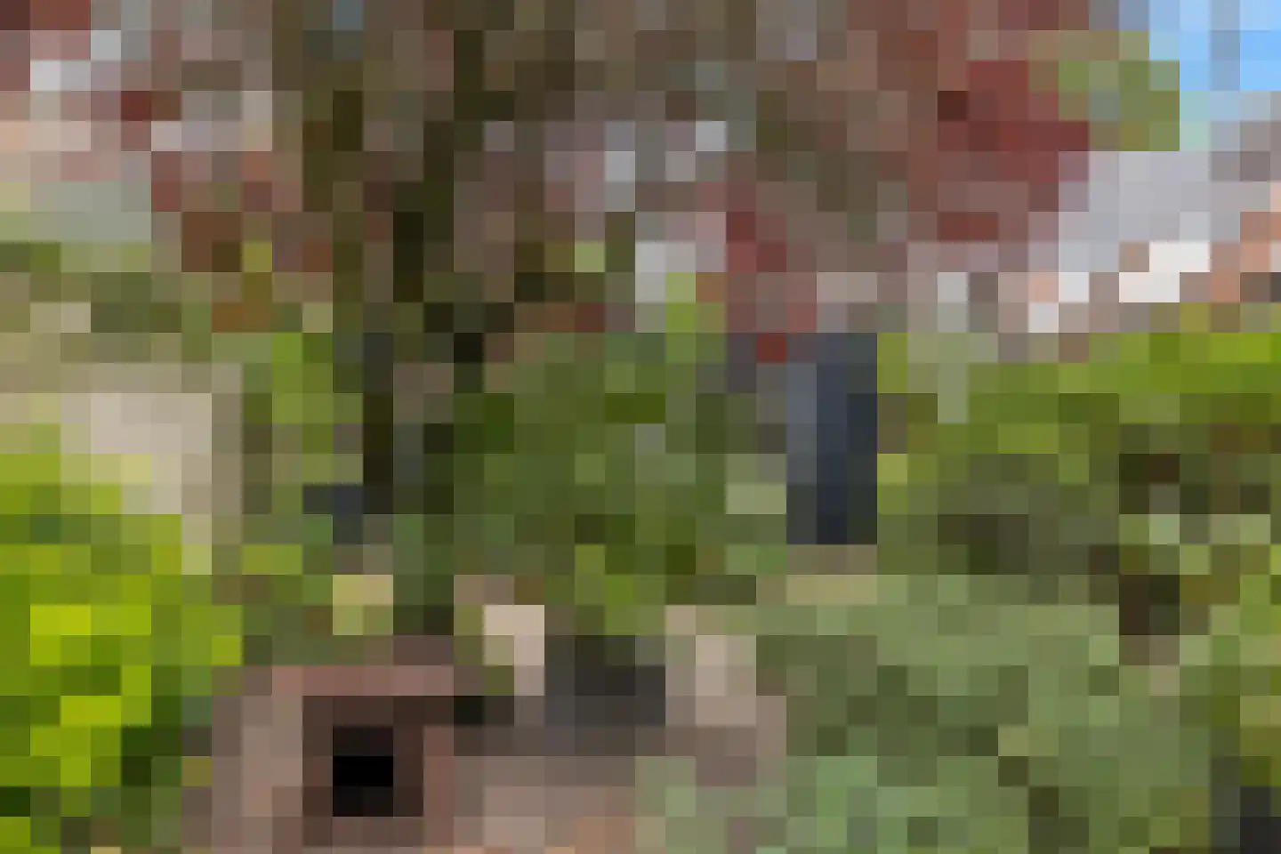 Parklaan 67 Haarlem thumbnail 28