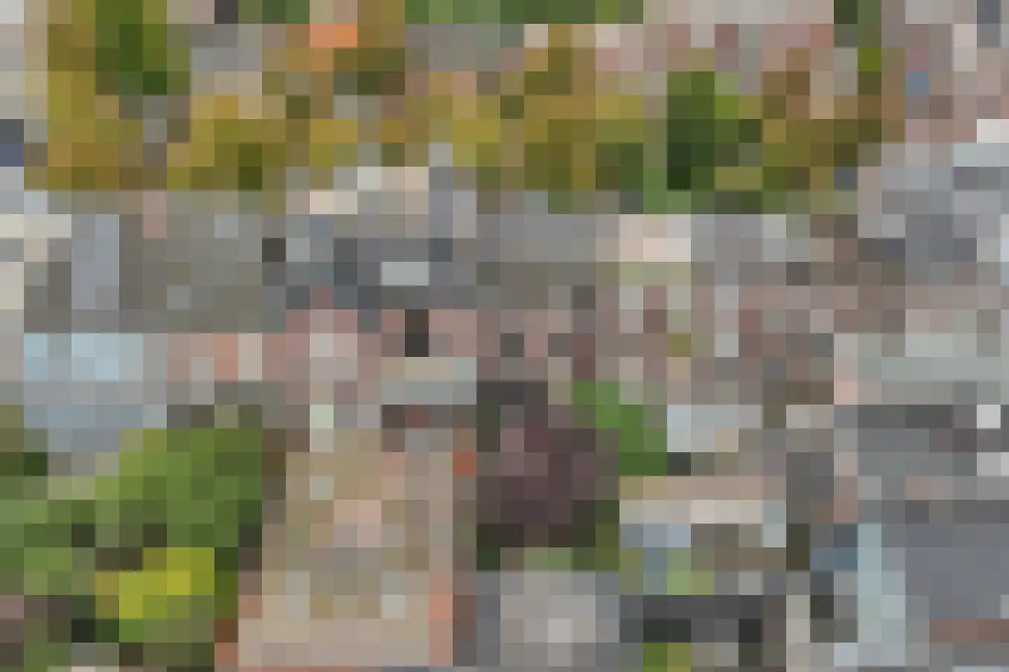 Parklaan 67 Haarlem thumbnail 33