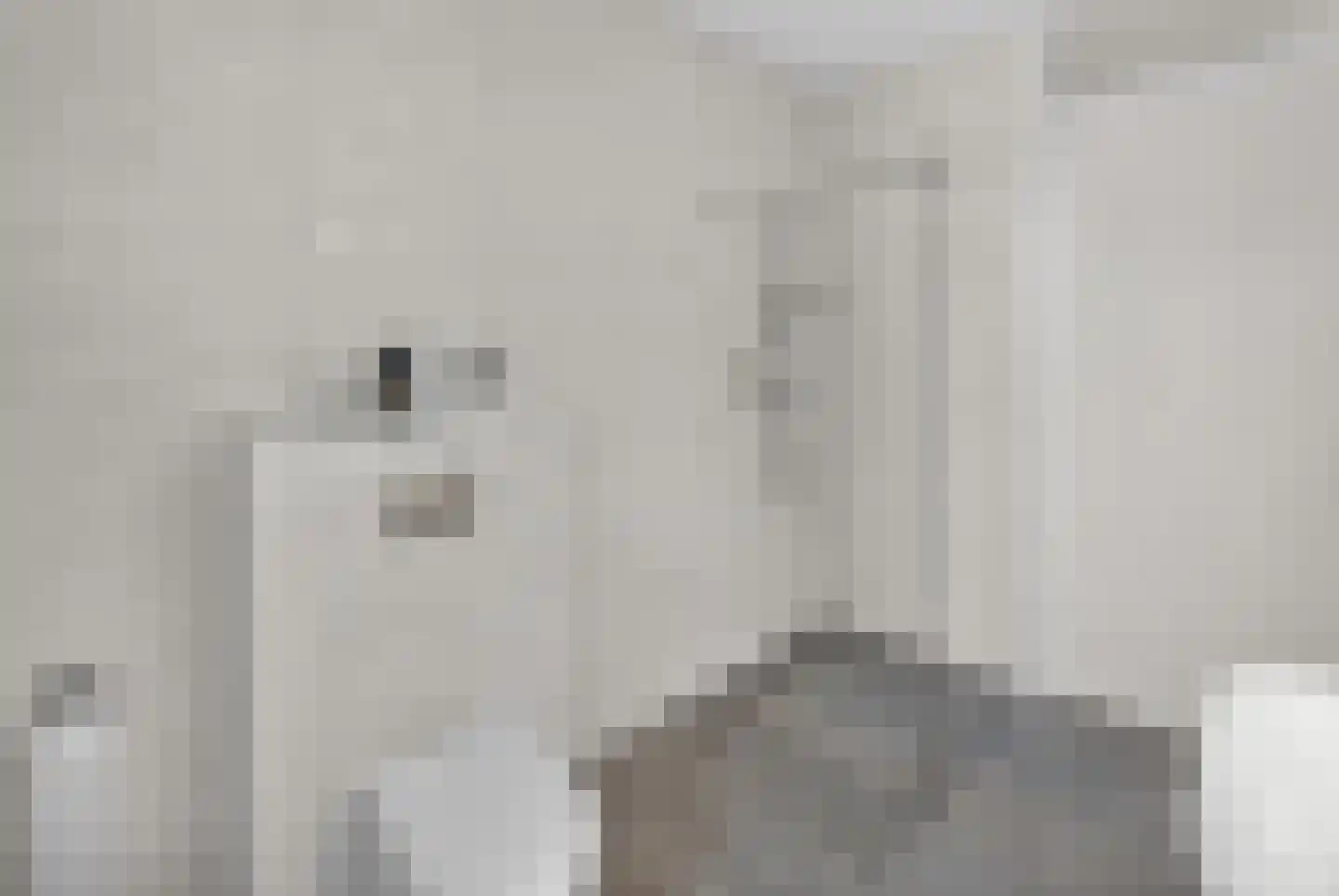 Parklaan 7 Ouddorp thumbnail 20
