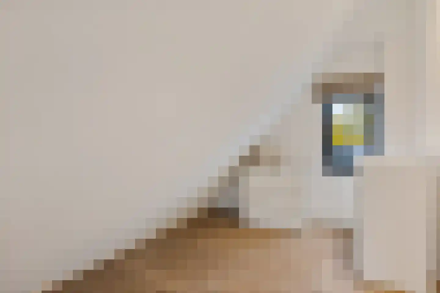 Parklaan 71 Reuver thumbnail 27