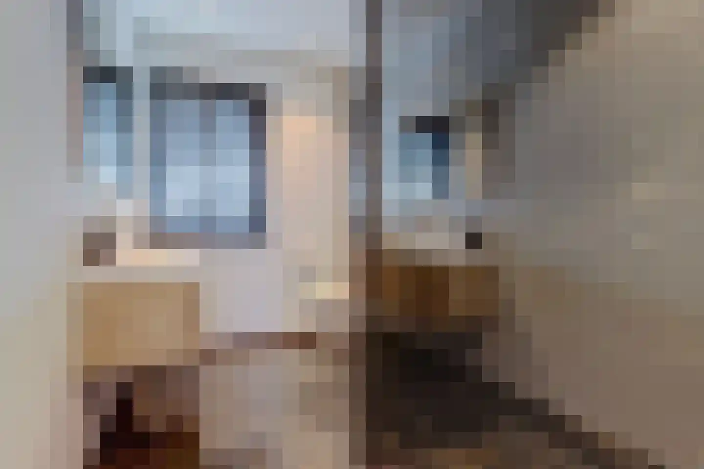 Parklaan 71 Waddinxveen thumbnail 32