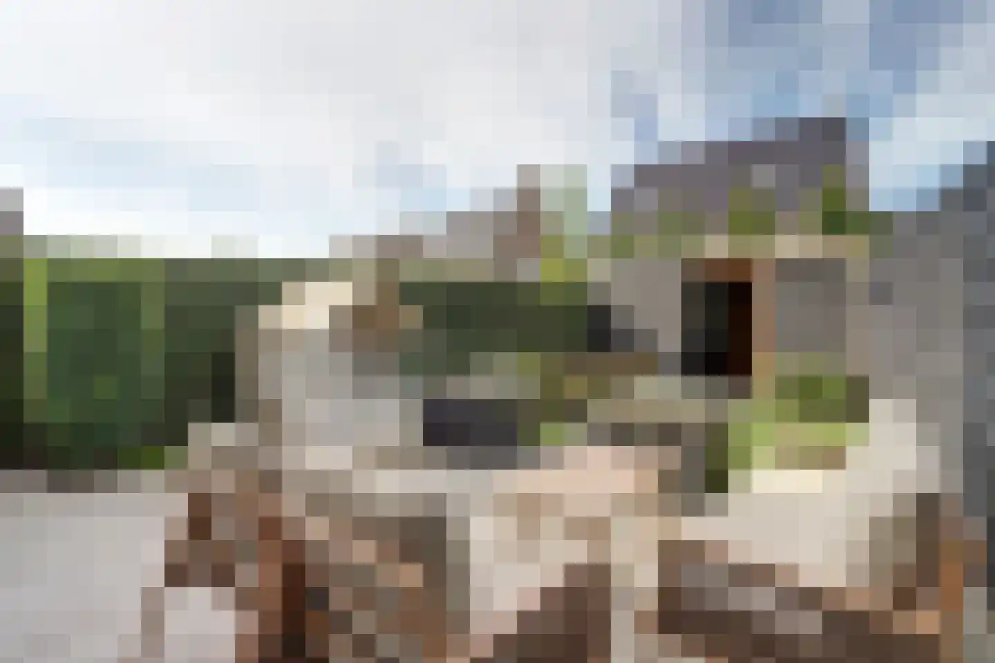 Parklaan 71 Waddinxveen thumbnail 44