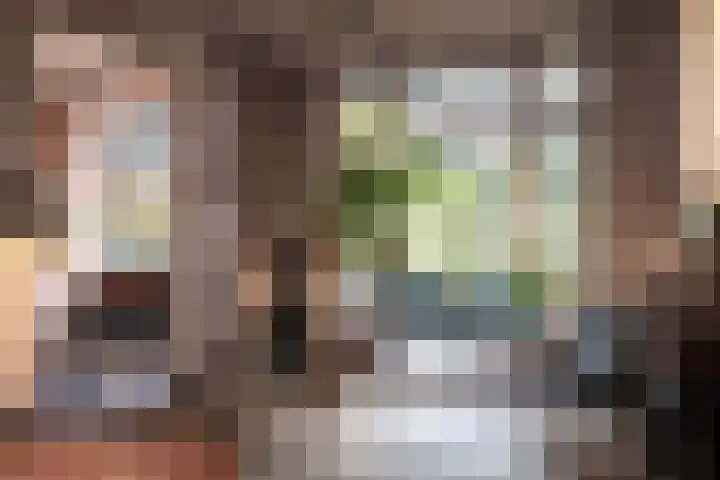Parklaan 73 Haarlem thumbnail 15