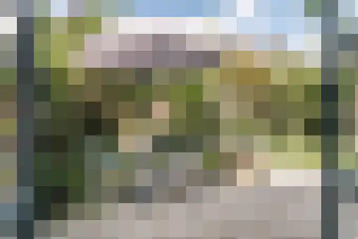 Parklaan 73 Haarlem thumbnail 21