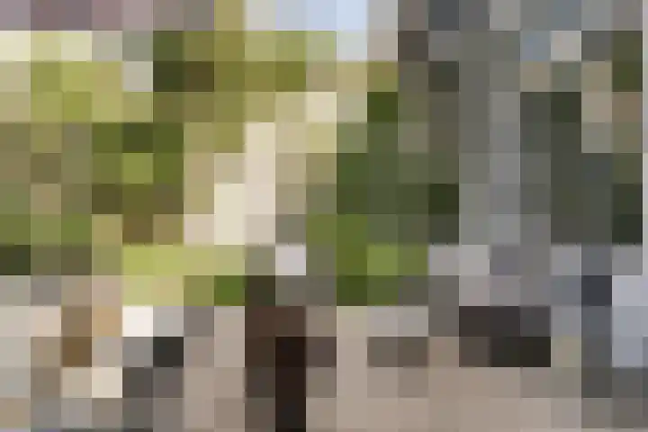 Parklaan 73 Haarlem thumbnail 23