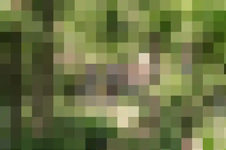 Parklaan 73 Haarlem thumbnail 26