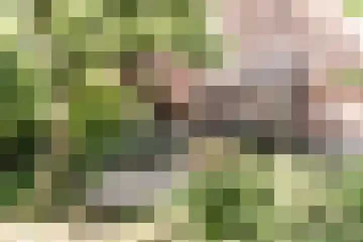 Parklaan 73 Haarlem thumbnail 28