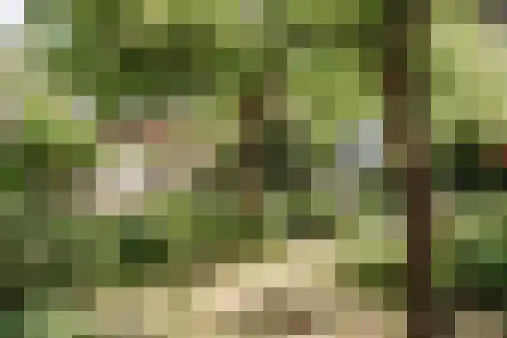 Parklaan 73 Haarlem thumbnail 30