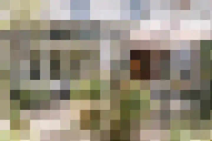 Parklaan 73 Haarlem thumbnail 31