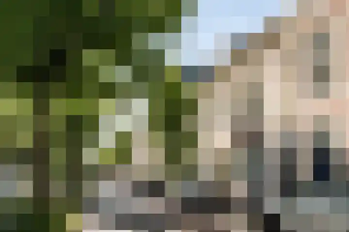 Parklaan 73 Haarlem thumbnail 57