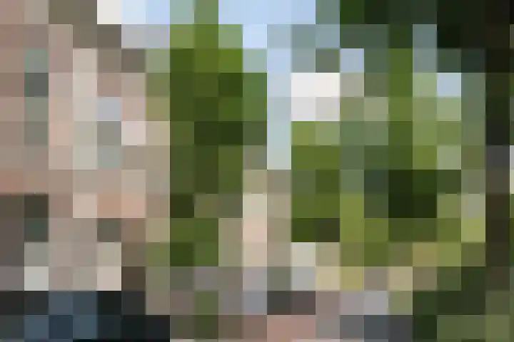 Parklaan 73 Haarlem thumbnail 58