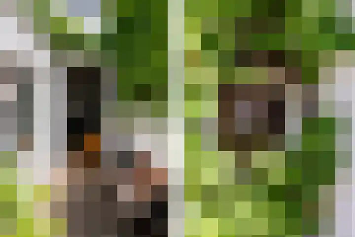 Parklaan 74 Haarlem thumbnail 18