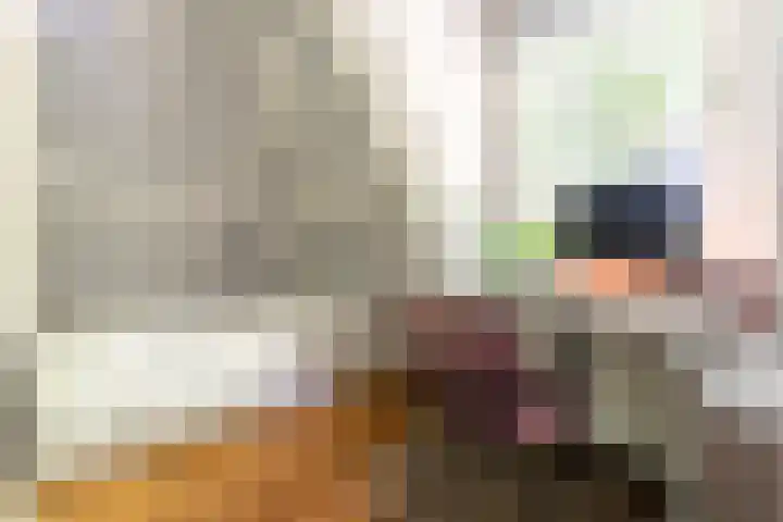 Parklaan 74 Haarlem thumbnail 33