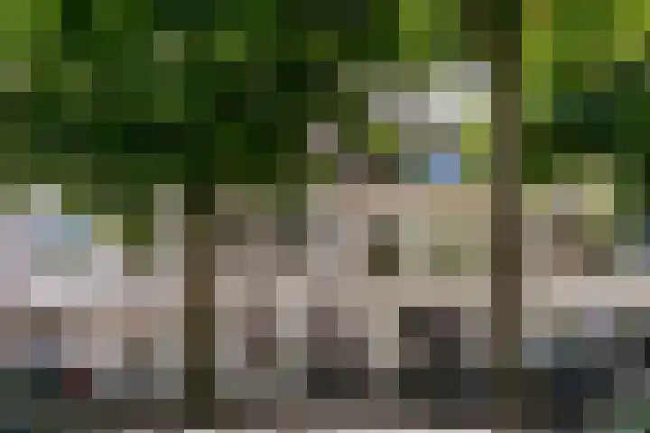 Parklaan 74 Haarlem thumbnail 35