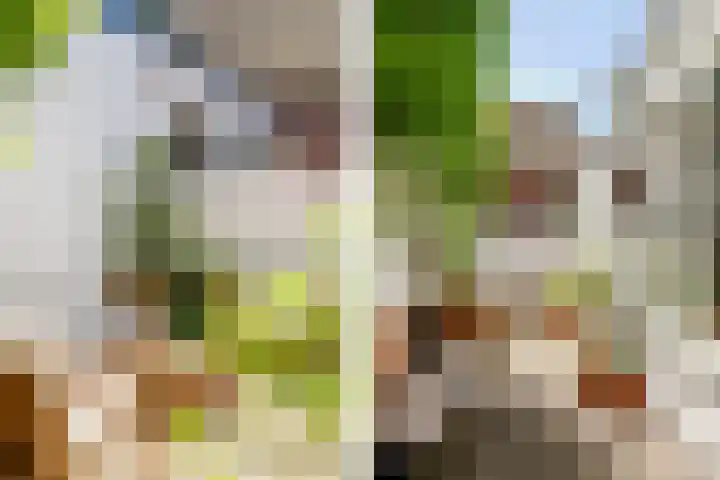 Parklaan 74 Haarlem thumbnail 4