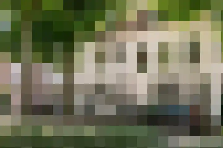 Parklaan 74 Haarlem thumbnail 42