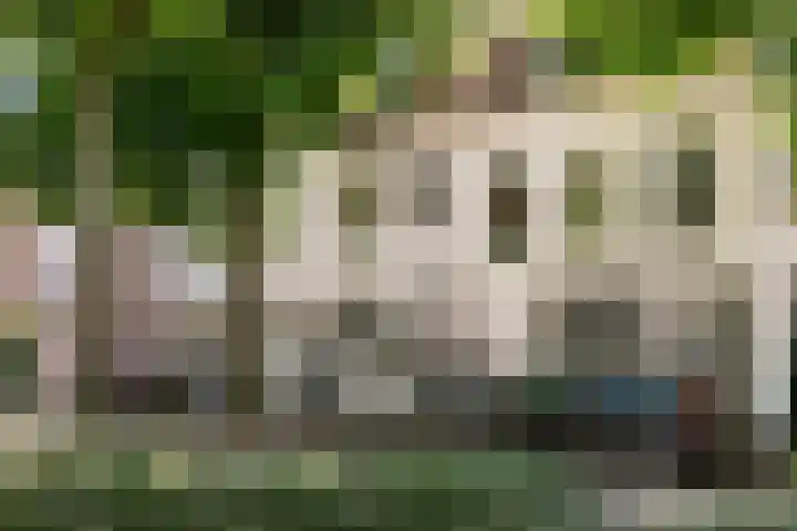 Parklaan 74 Haarlem thumbnail 5
