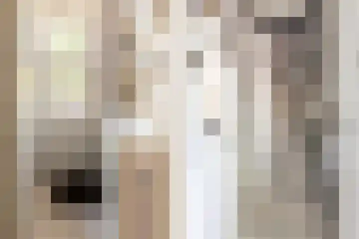 Parklaan 74 Haarlem thumbnail 6