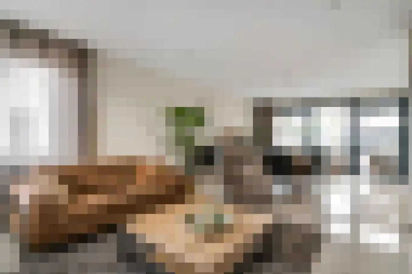 Parklaan 75 Horst thumbnail 17
