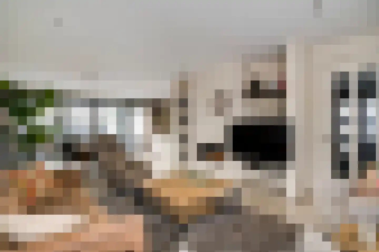 Parklaan 75 Horst thumbnail 19