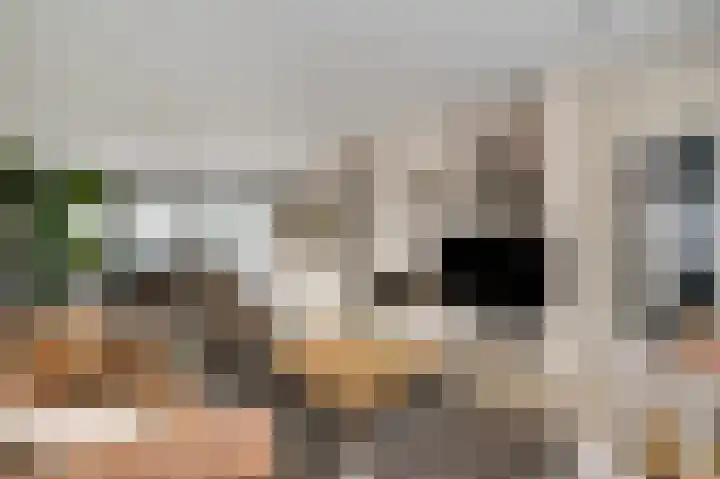 Parklaan 75 Horst thumbnail 19